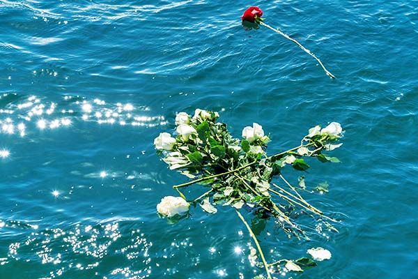 Individual flowers for sea burial